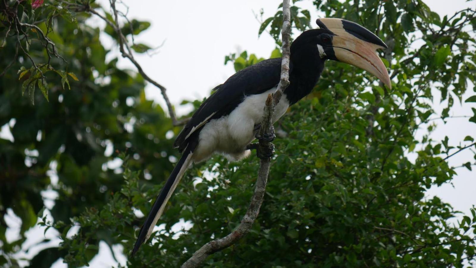 Suduweli Beauties Of Nature - Yala Киринда Экстерьер фото